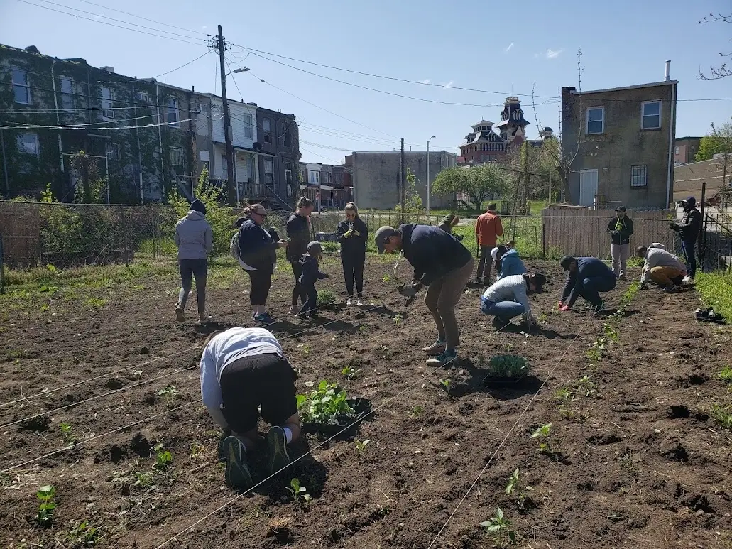 Urban Garden and Green Space Volunteers Needed