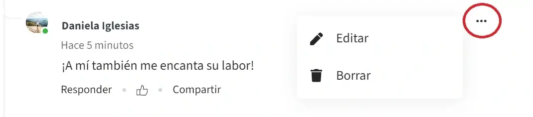 Captura de pantalla del sitio de Idealist mostrando cómo editar o borrar un comentario.