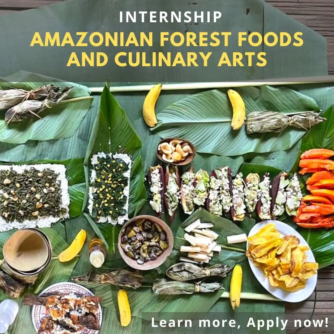 Amazonian Forest Foods and Culinary Arts