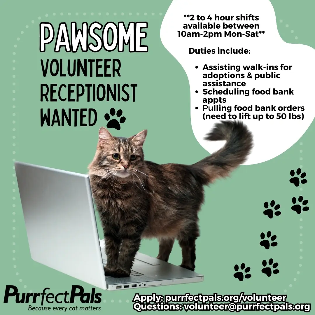 Pawsome Volunteer Receptionist Wanted!