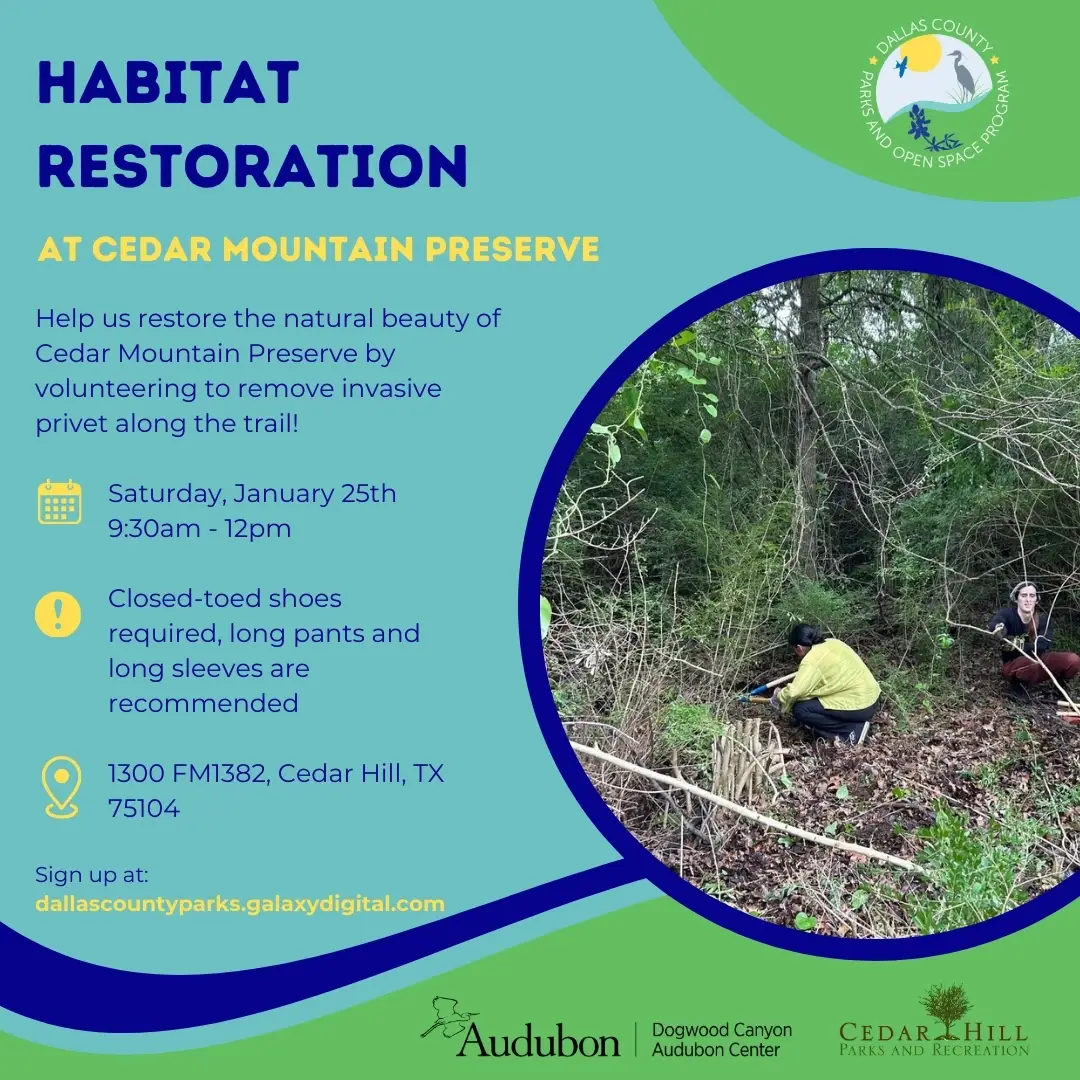 Habitat Restoration at Cedar Mountain Preserve