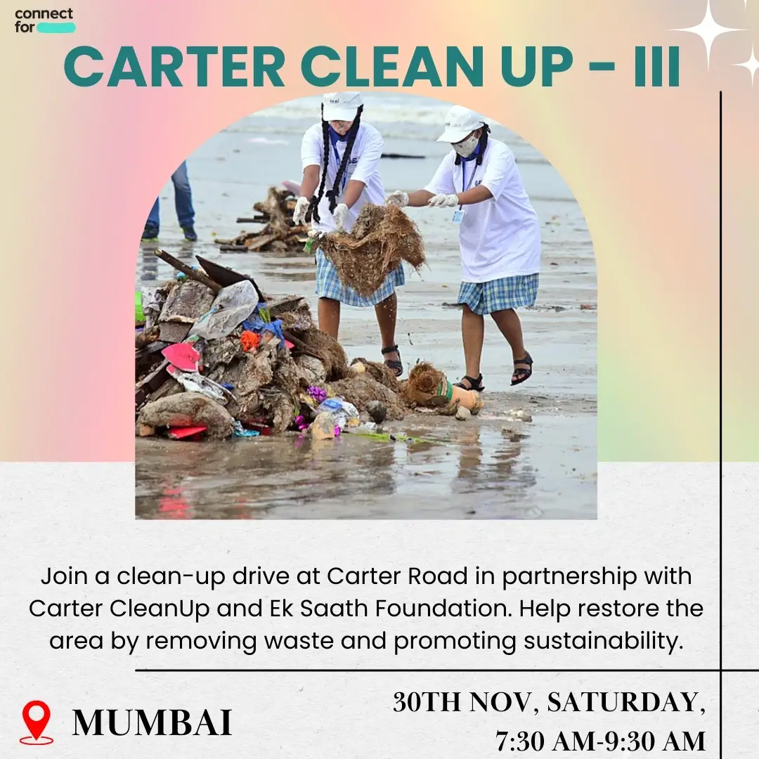 Carter Clean up - III