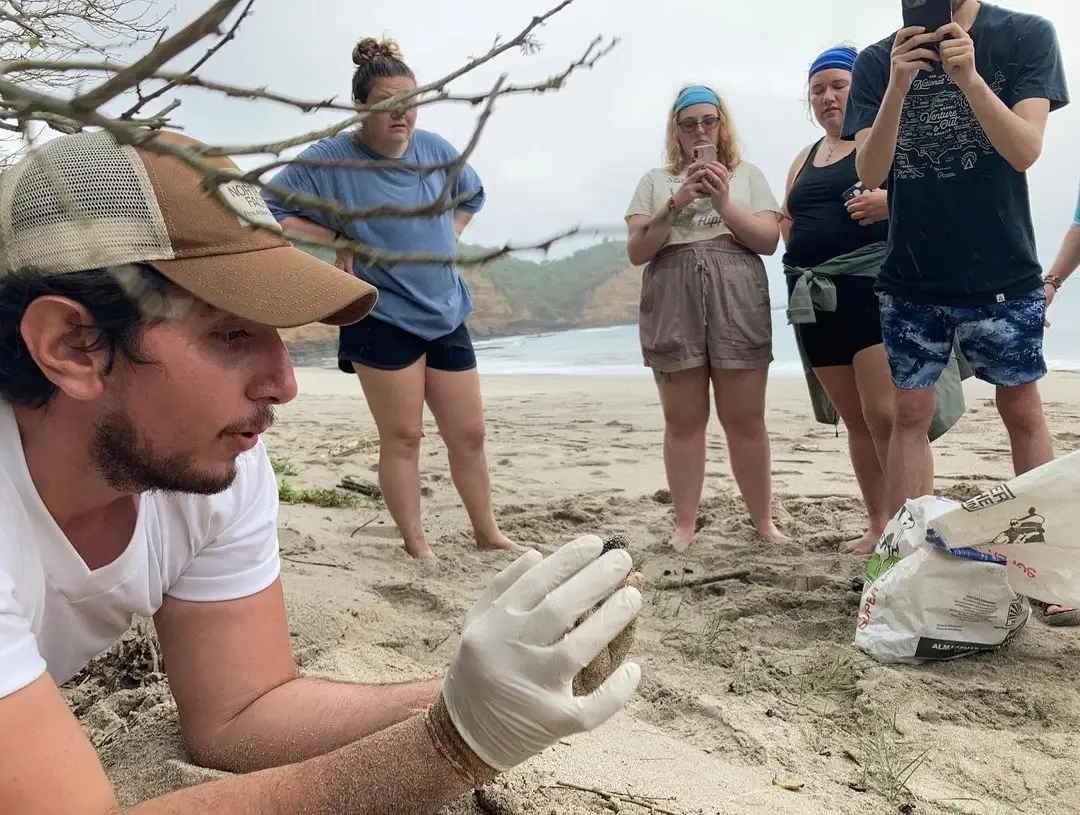 Volunteering for sea turtle conservation in Ecuador