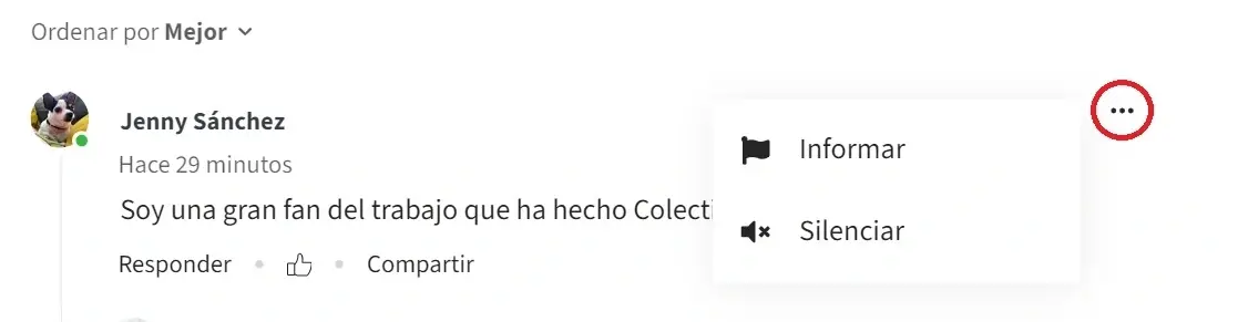 Captura de pantalla del sitio de Idealist mostrando cómo Informar o Silenciar un comentario.