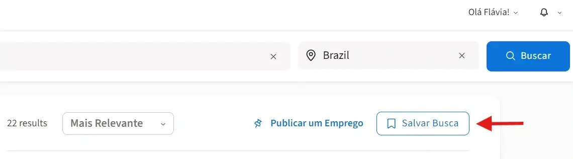 Uma captura de tela do site da Idealist mostrando onde clicar em "Salvar Busca".