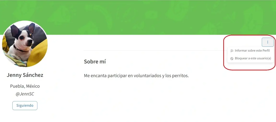 Captura de pantalla informar y bloquear a una persona en Idealist.