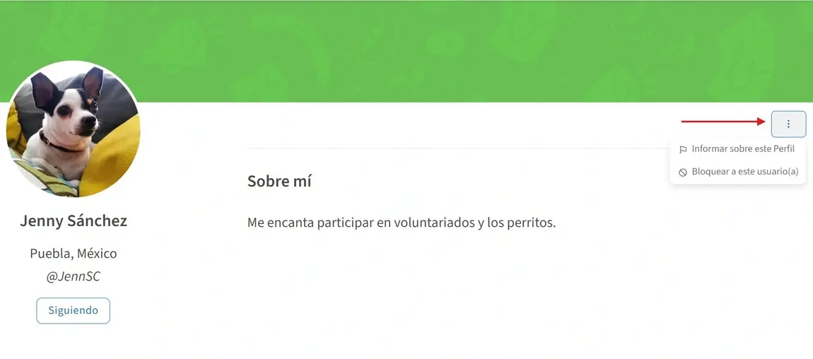 Captura de pantalla del sitio de Idealist mostrando cómo reportar un perfil.