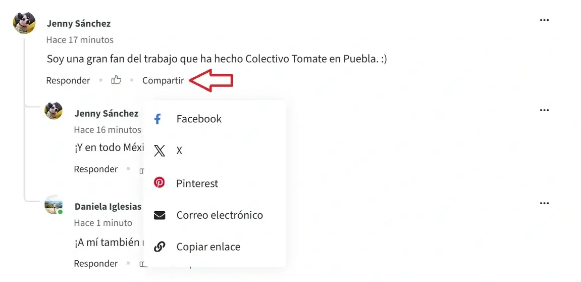 Captura de pantalla del sitio de Idealist mostrando Cómo compartir un comentario.