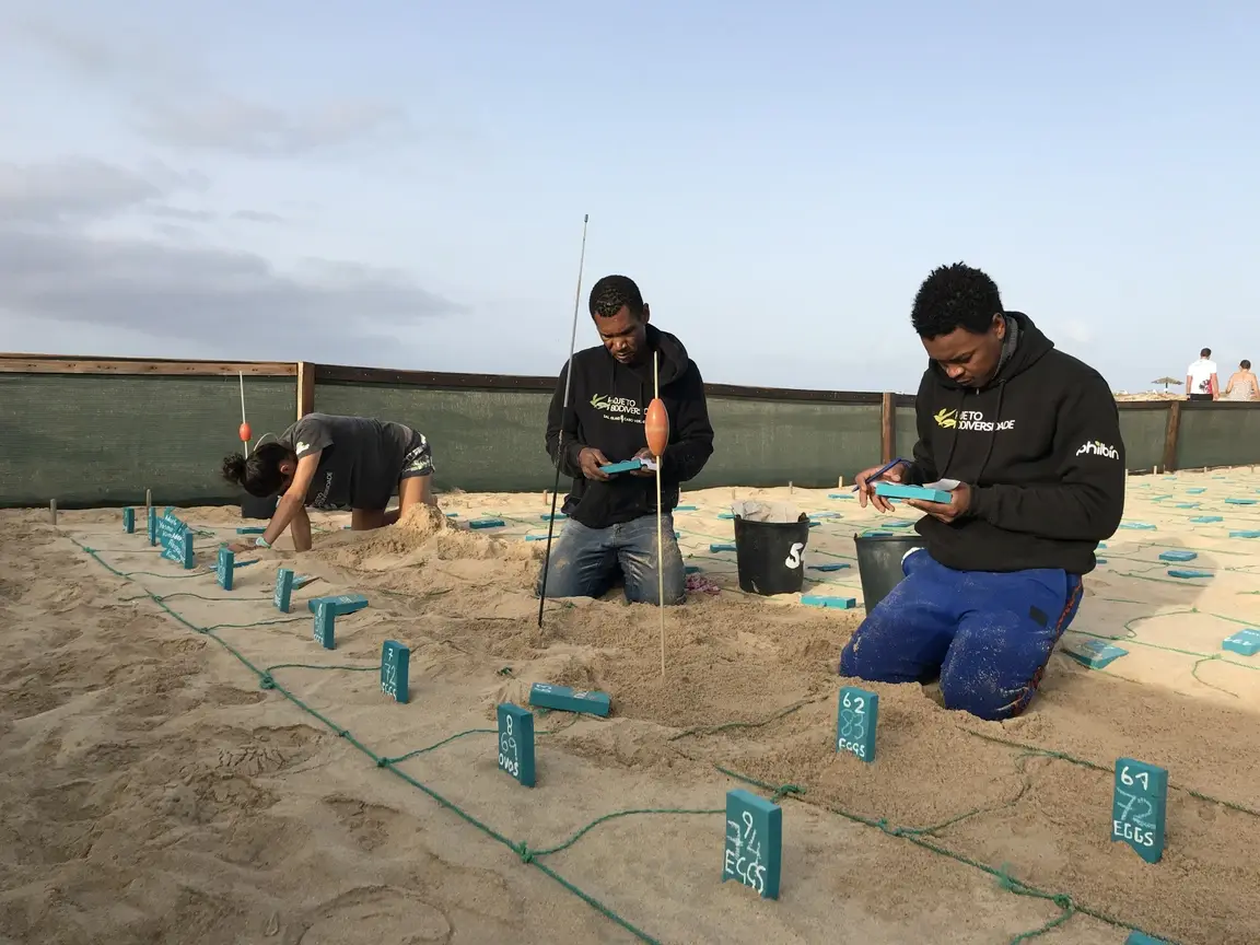 Voluntários trabalham no Projeto Biodiversidade