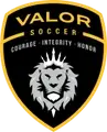 RECREATIONAL & SELECT YOUTH SOCCER DIRECTOR