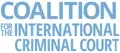 Finance Officer at Women's Initiatives for Gender Justice and CICC Secretariat