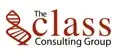 Business Consulting Services- Competency Lead