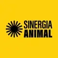 Engagement and Campaigns Director - International