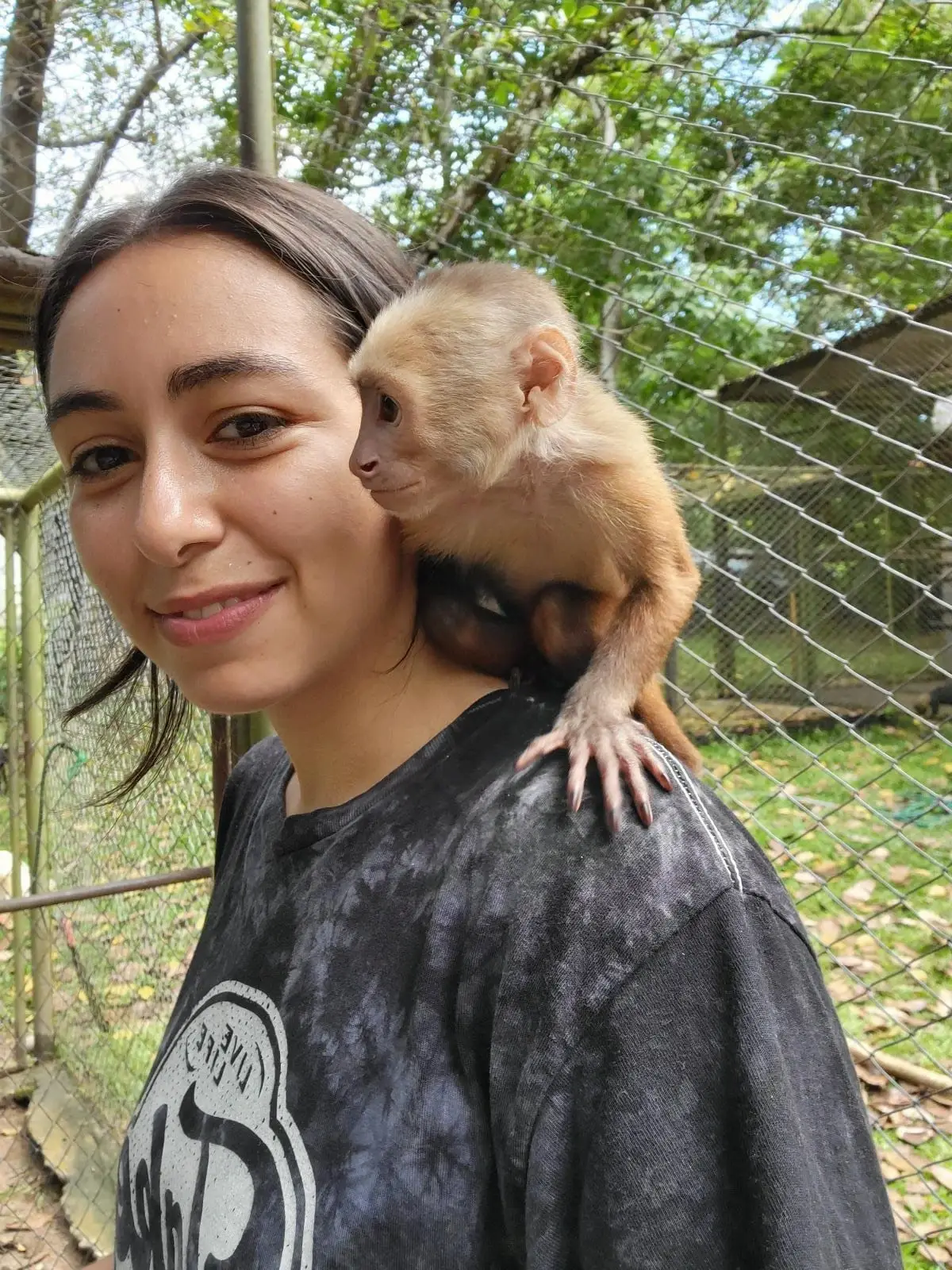 Volunteer at a Wildlife Rescue in Colombia