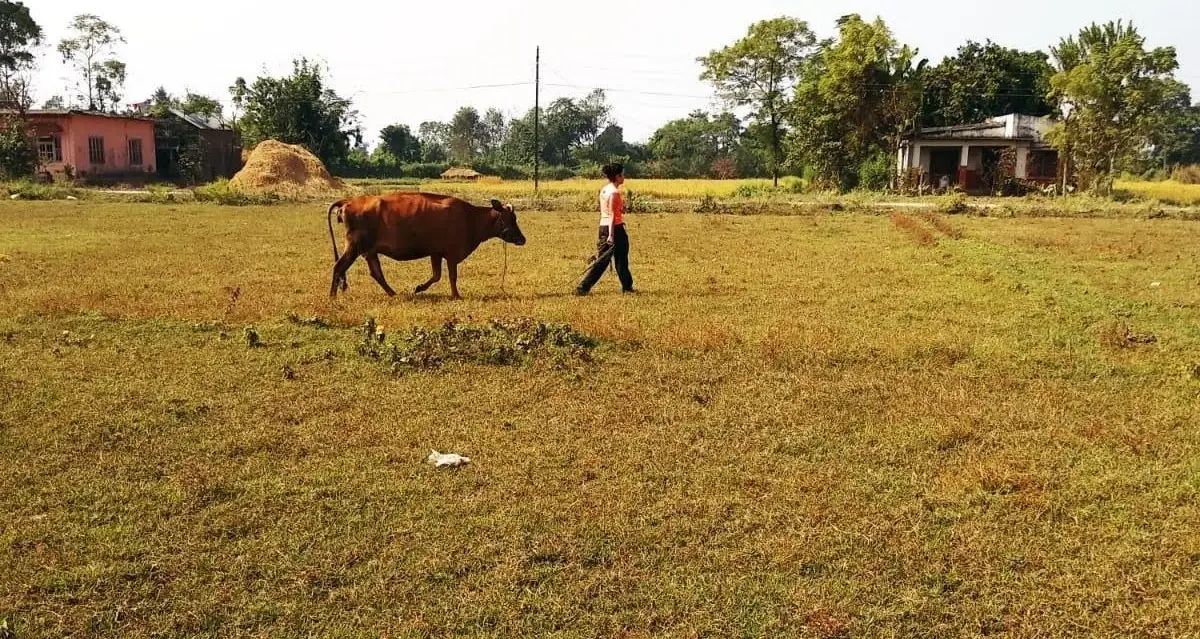 Internship :Agro farming project in Nepal