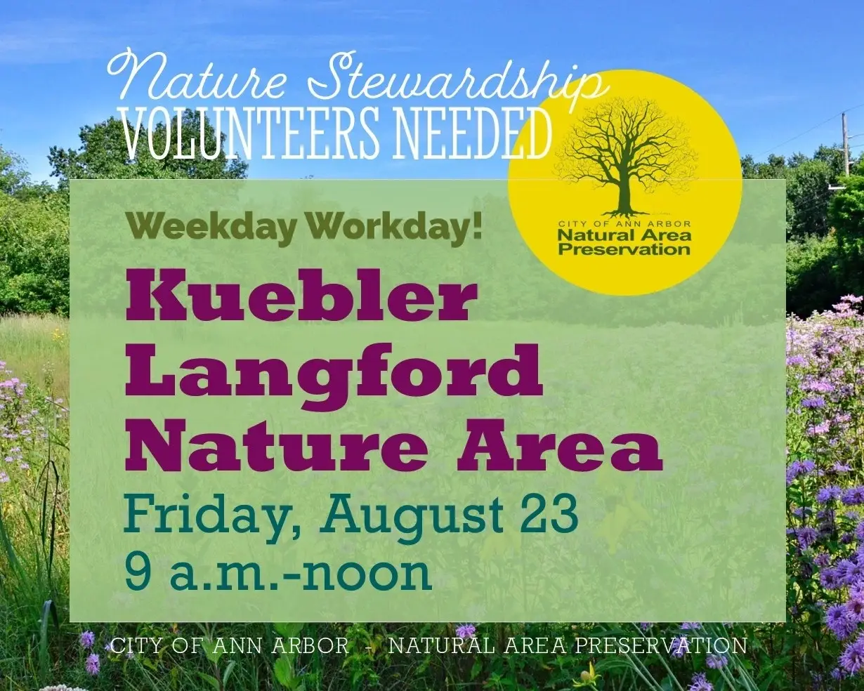 Friday Stewardship Workday at Kuebler Langford Nature Area