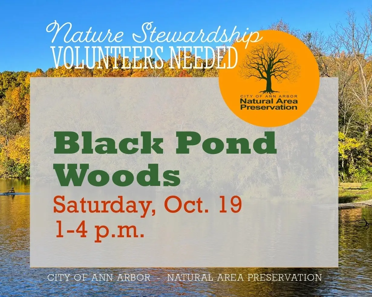 Volunteer for Nature at Black Pond Woods Nature Area