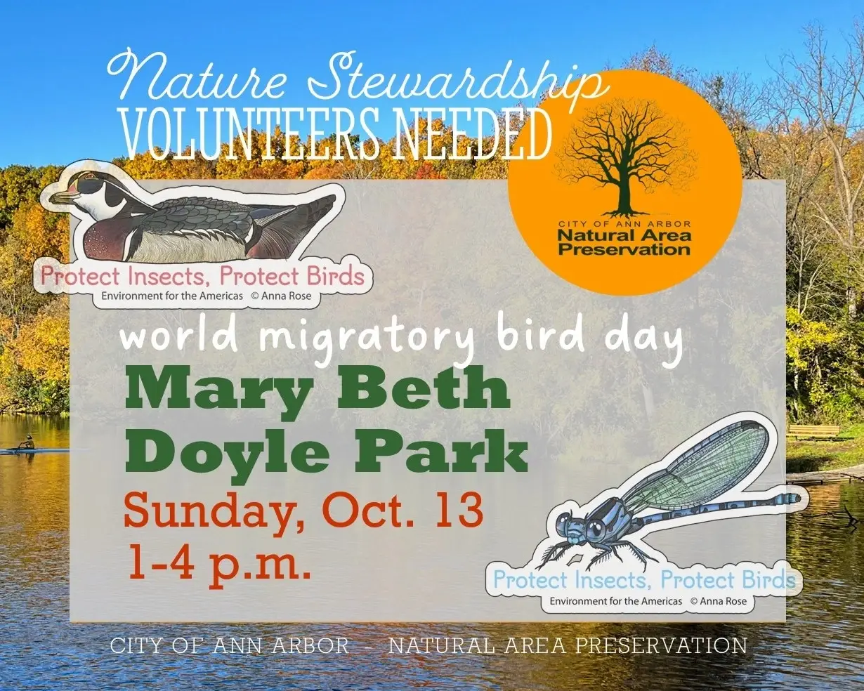 Volunteer for Nature at Mary Beth Doyle Park/World Migratory Bird Day