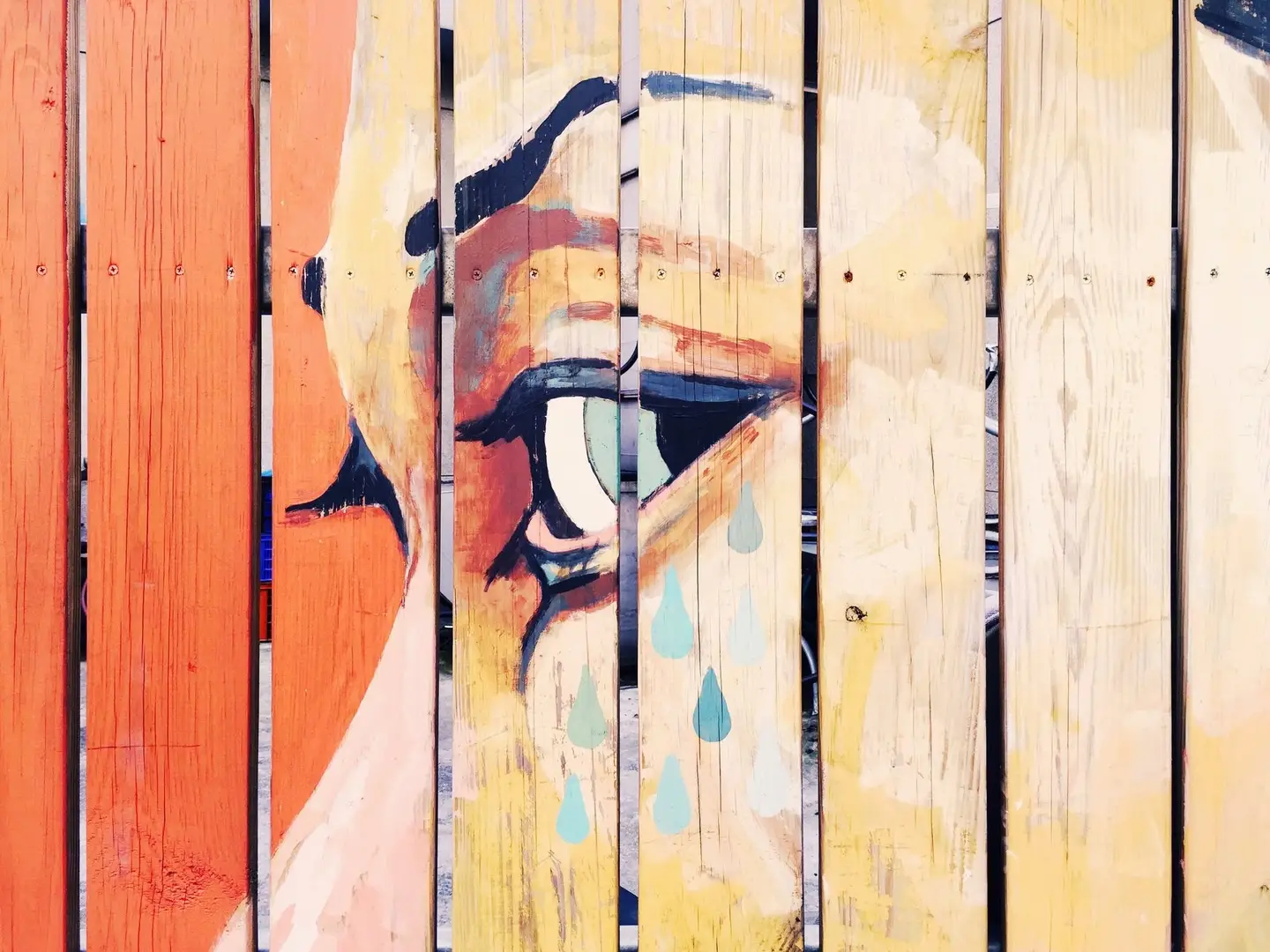 A portion of a face painted on a fence.