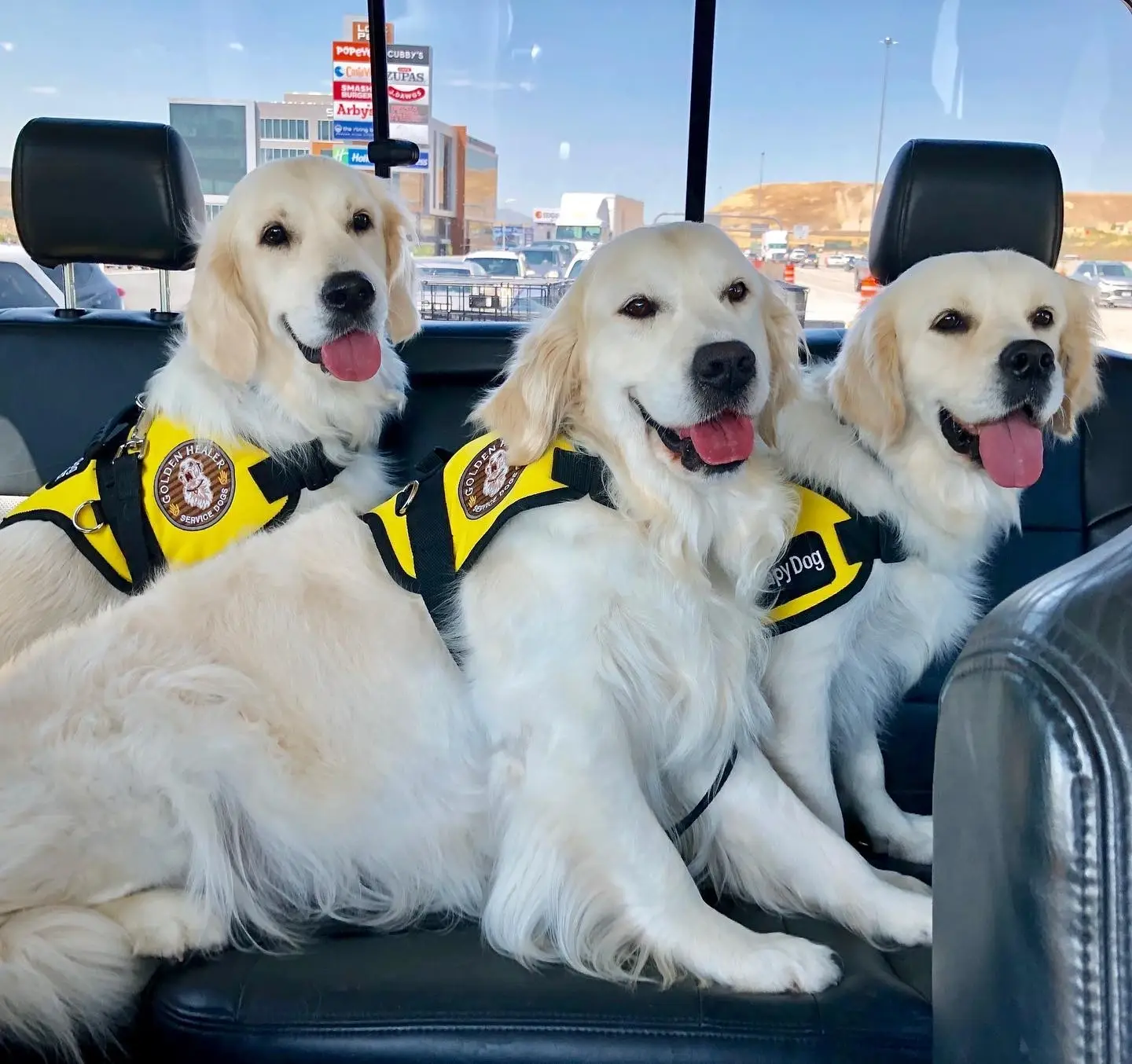 UTAH HOCKEY GAMES - Volunteer & Help Disabled Individuals get Service Dogs 12/27