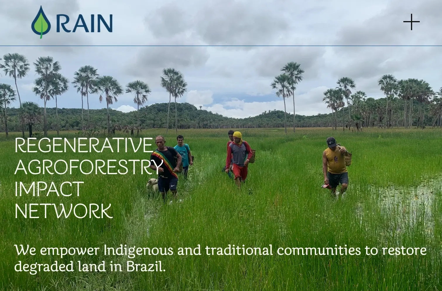 Bid-writer for community-led reforestation org in Brazil