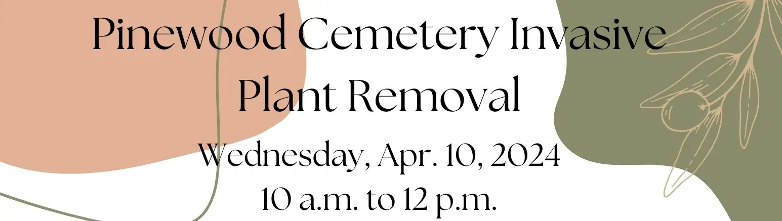 Pinewood Cemetery Invasive Plant Removal