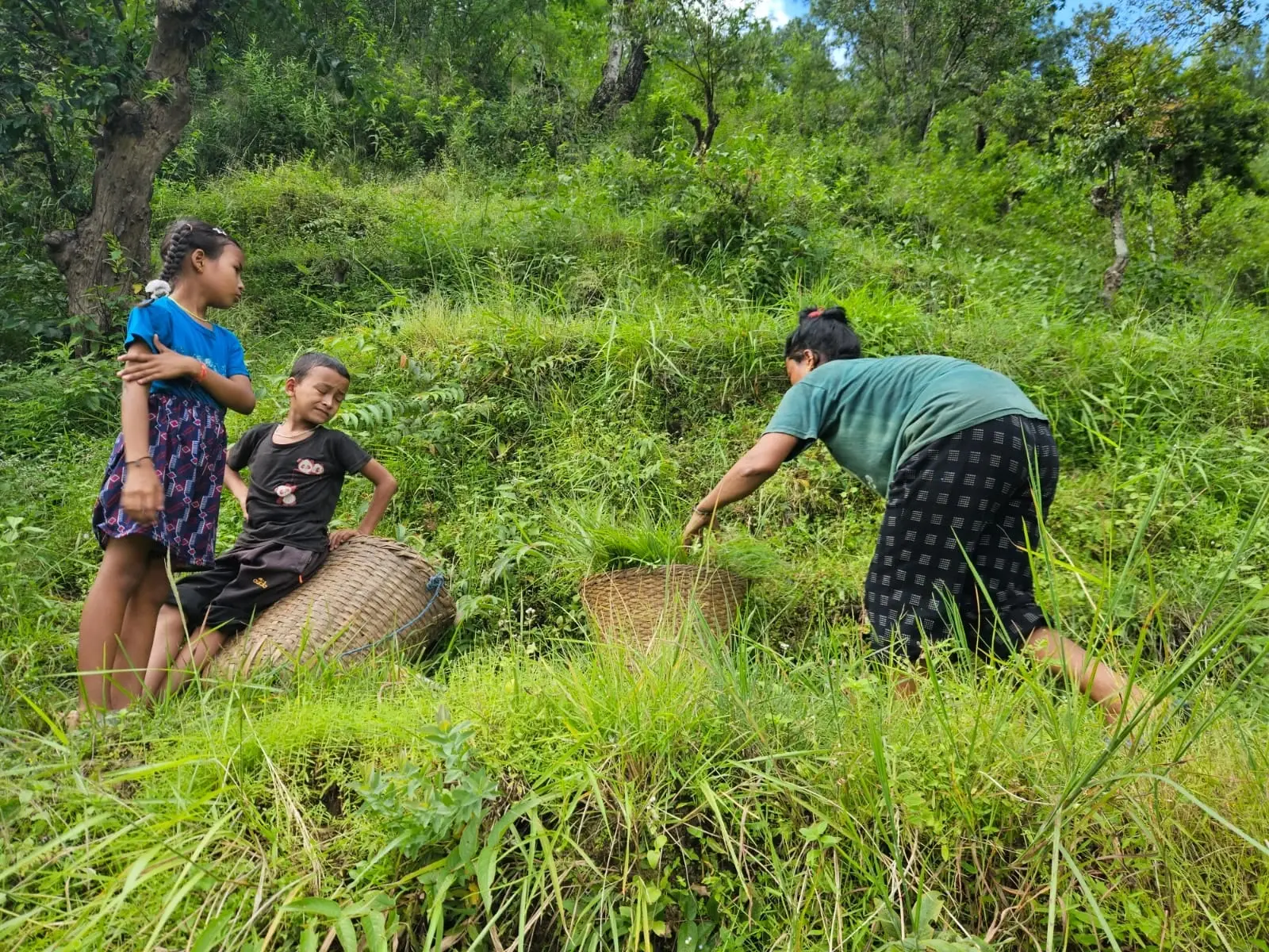 Organic and Agriculture farm in Nepal