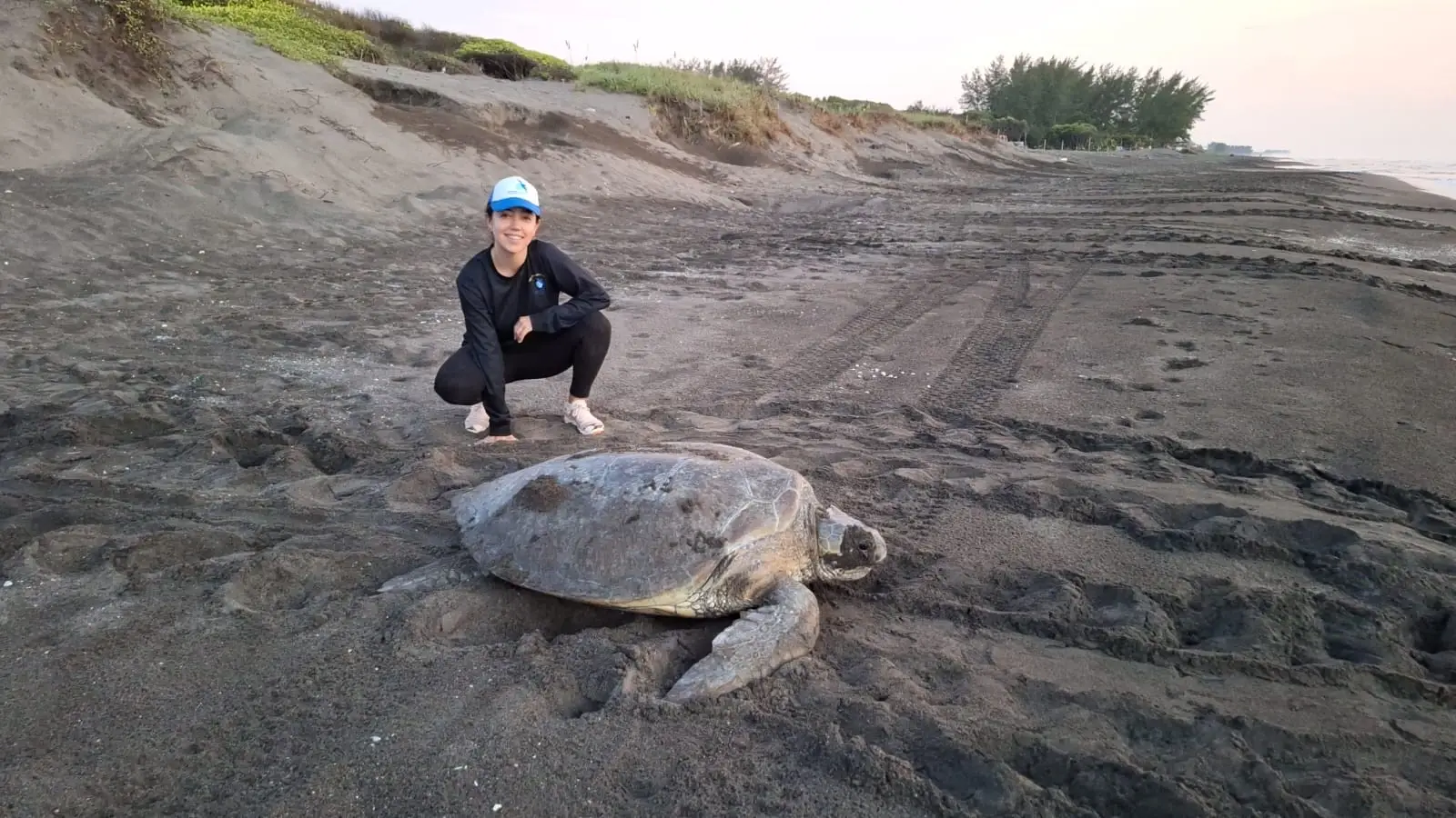 Sea turtle conservation Volunteer opportunity in Veracruz, Mexico