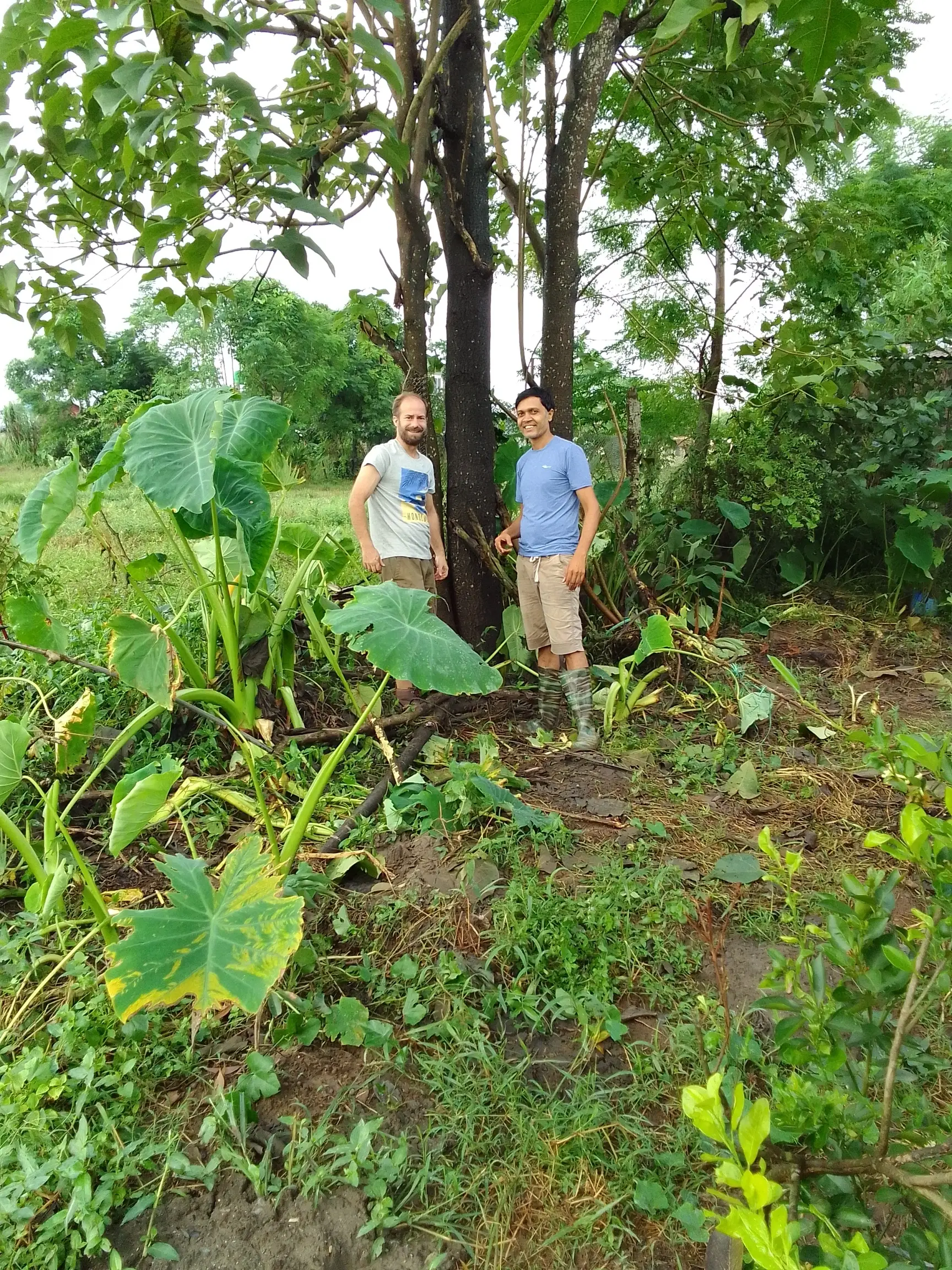 Organic Farm Volunteering in Nepal