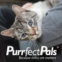 Logo de Purrfect Pals Cat Adoption Centers