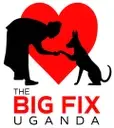 Logo of The BIG FIX