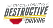 Logo de Destructive Driving