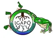 Logo de Igapó Institute - Amazon conservation Association