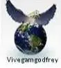 Logo of Vivegam Godfrey (VGF)