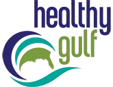 Logo de Healthy Gulf