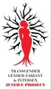 Logo de Miss Major & Alexander L. Lee TGIJP Black Trans Cultural Center