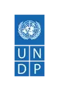 Logo de UNDP ITM