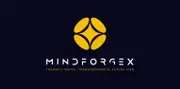 Logo de MindForgeX: Forjando mentes, transformando el futuro STEM