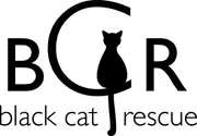 Logo de Black Cat Rescue