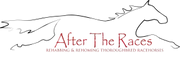 Logo of After the Races
