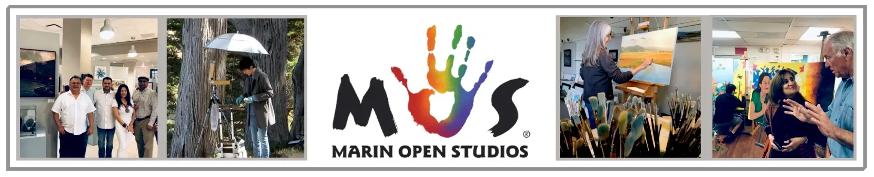 BOARD MEMBER - MARIN OPEN STUDIOS