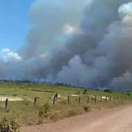 Queimadas acontecendo em floresta, visto de estrada de terra