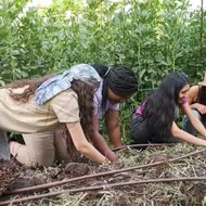 Group of women farmers working together.