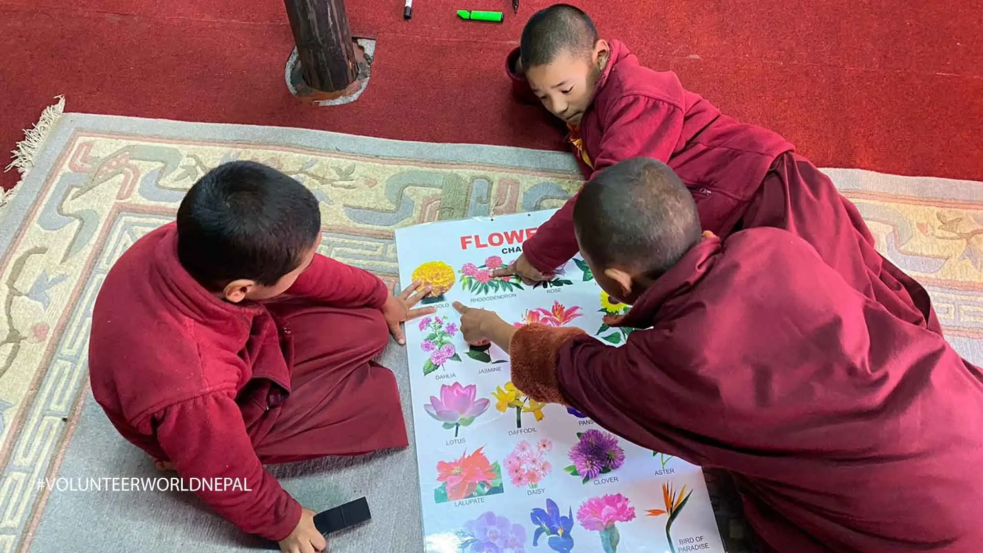 Teaching to Little Buddhist Monks in the Monasteries Volunteering Work