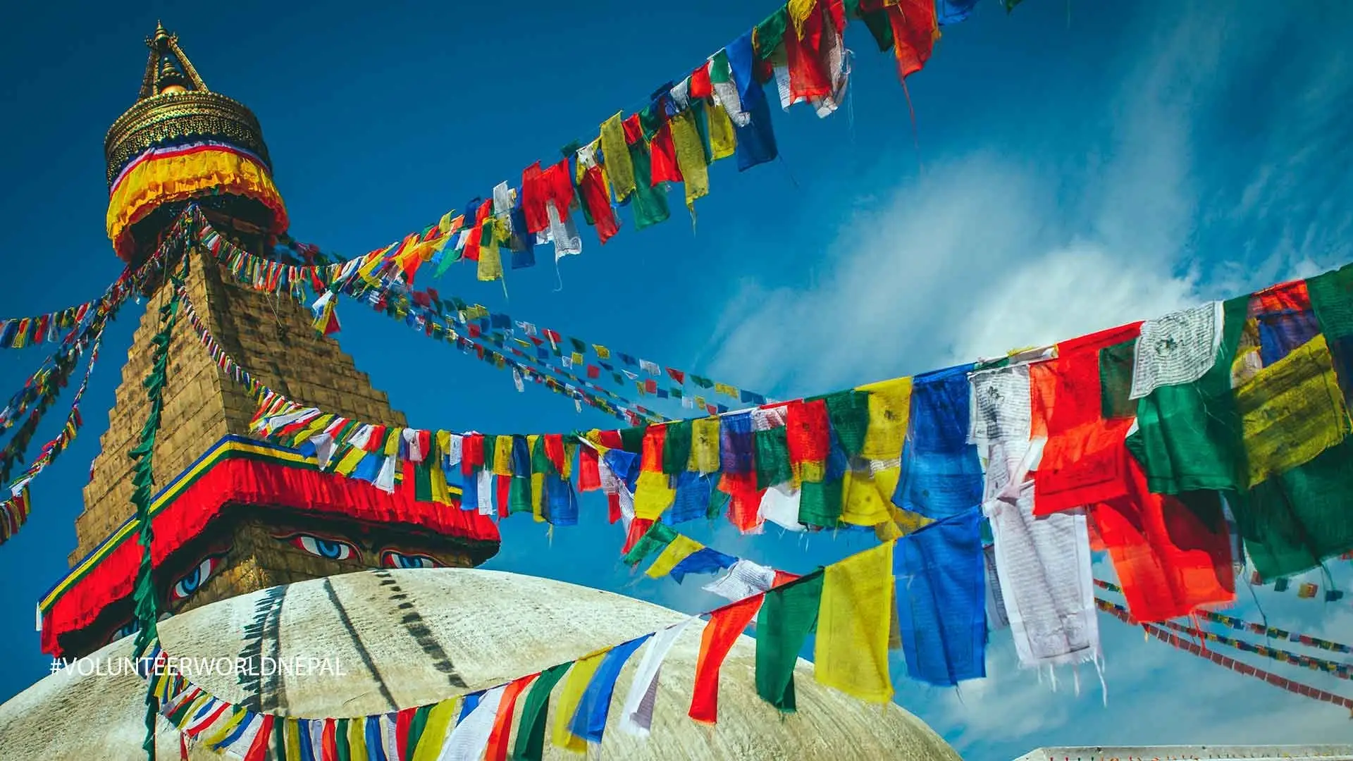 Teaching to Little Buddhist Monks in the Monasteries in Kathmandu Pokhara and Salleri