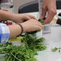 Hands preparing parsley during a Cooking Matters Maine class with Good Shepherd Food Bank of Maine.