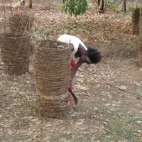 Training women in Bee keeping