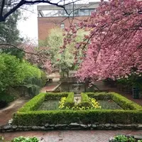 Brooklyn College Lily Pond