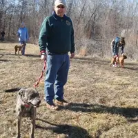 Walking Shelter Dogs