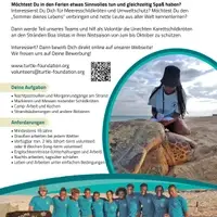 Volunteering in sea turtle conservation on Boa Vista (Cabo Verde)